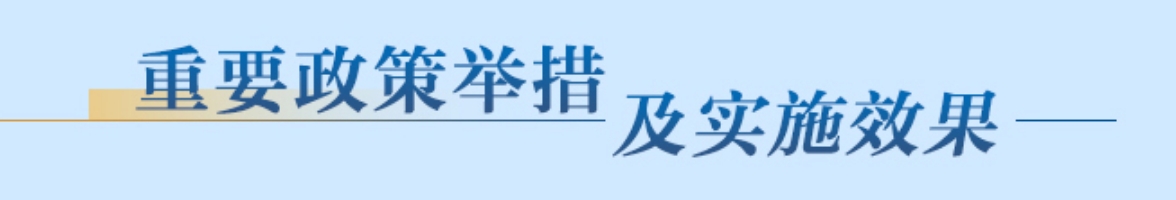 重要政策舉措及實施效果